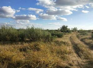深入北方的小路,探寻北方深处的幽径秘境