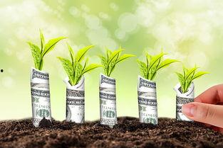 单身规划师Planners