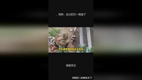 把它端出来,共享美味时光